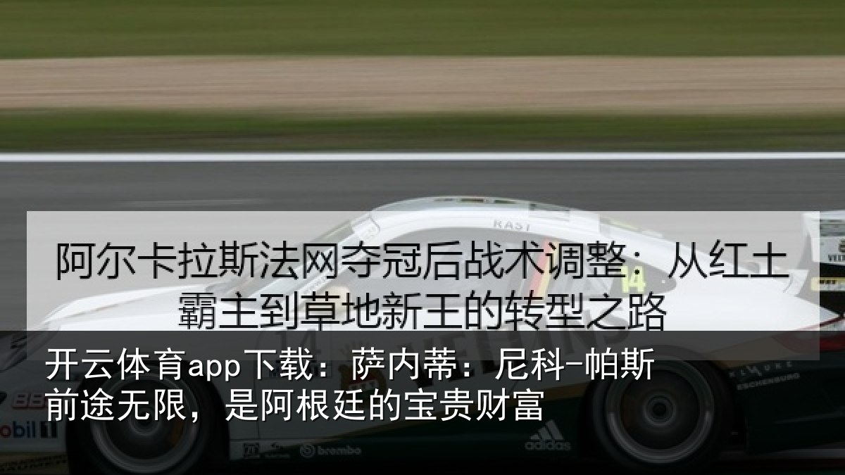 开云体育app下载:萨内蒂:尼科相关情况根廷的宝贵财富