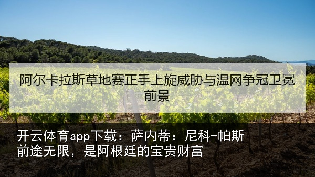 开云体育app下载:萨内蒂:尼科-帕斯前途无限,是阿根廷的宝贵财富