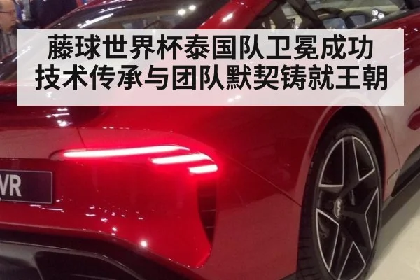 藤球世界杯泰国队卫冕成功 技术传承与团队默契铸就王朝