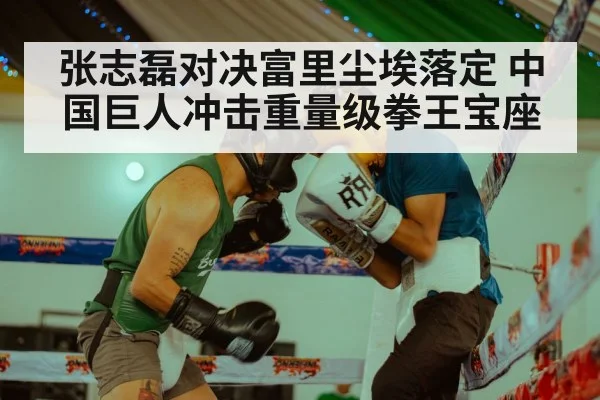 张志磊对决富里尘埃落定 中国巨人冲击重量级拳王宝座